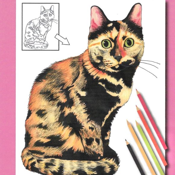 Cat Coloring Book - Picture 1 of 6